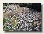 Graveyard on the way to Kiyomizu temple. IMG_6307